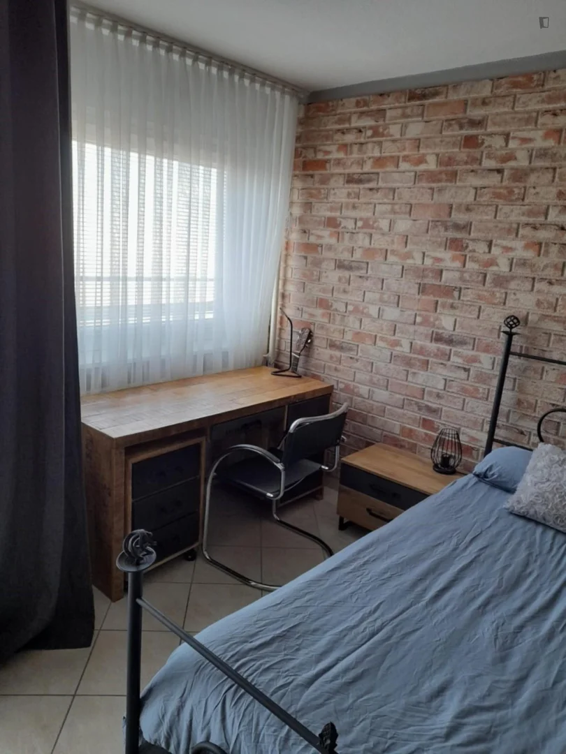 Niedrogi pokój dla studentów z dużym oświetleniem w 