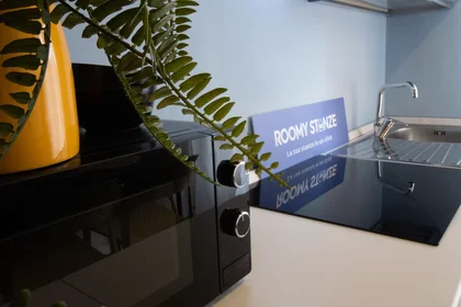 Private room at Via Contardo Ferrini, , image 9 of 10