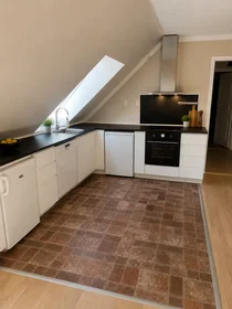 Appartamento intero in Stenkløvervej, Bispebjerg, immagine 2 di 10