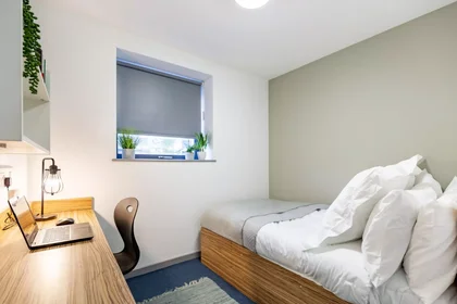 Alquiler de habitación en piso compartido en {area}