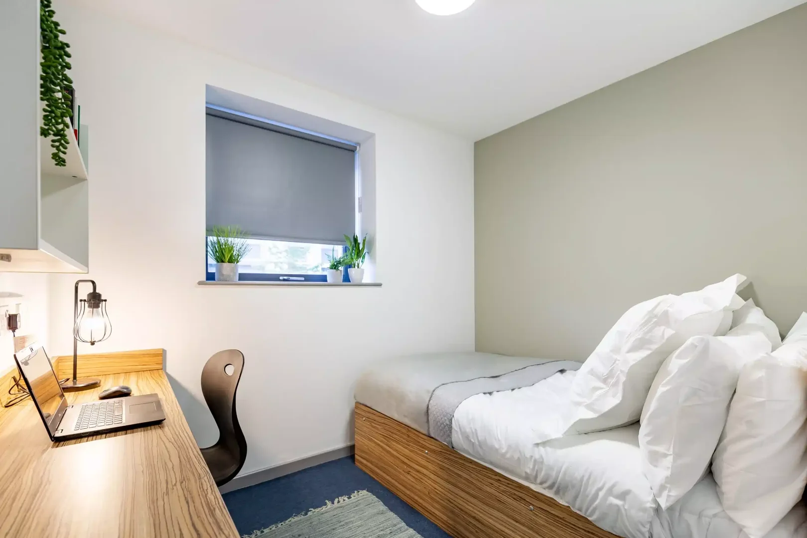 Habitación estudiantil económica cerca del campus en 