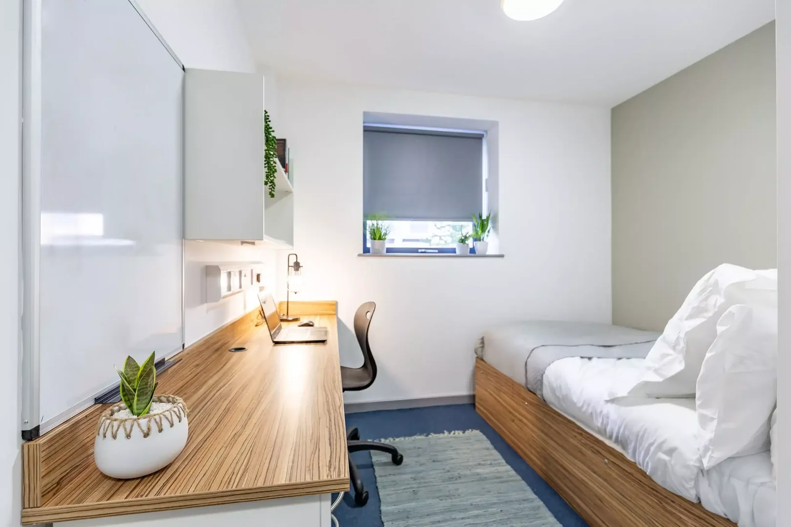 Habitación para estudiantes en  con área de estudio y facilidades compartidas