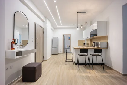 Privatzimmer in der Alkiviadou 102, Athina 104 46, Greece , Athens, , 104 46 Greece, bild 15 von 32