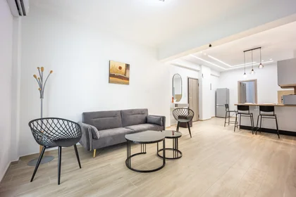 Privatzimmer in der Alkiviadou 102, Athina 104 46, Greece , Athens, , 104 46 Greece, bild 18 von 32
