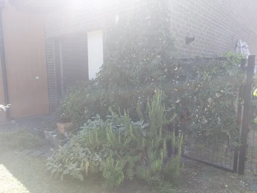 Privatzimmer in der Rue des Temps Modernes, bild 24 von 27