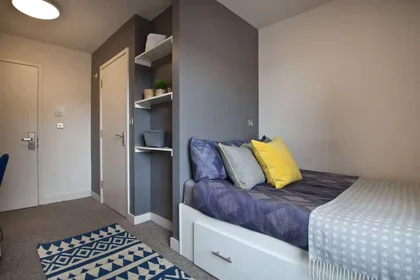 Entire apartment in residence at 20 Salisbury Rd, Cardiff CF24 4AF, United Kingdom, image 1 of 15