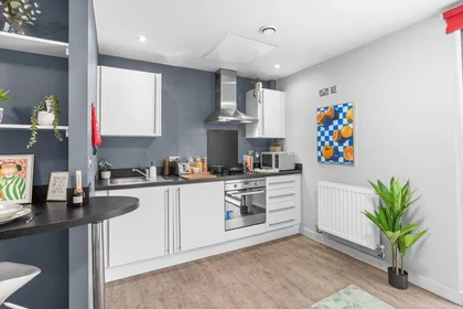Entire apartment in residence at 20 Salisbury Rd, Cardiff CF24 4AF, United Kingdom, image 11 of 15