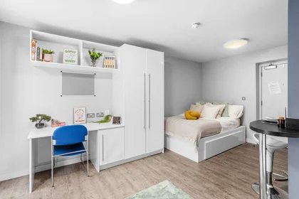 Entire apartment in residence at 20 Salisbury Rd, Cardiff CF24 4AF, United Kingdom, image 12 of 15