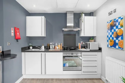 Entire apartment in residence at 20 Salisbury Rd, Cardiff CF24 4AF, United Kingdom, image 13 of 15