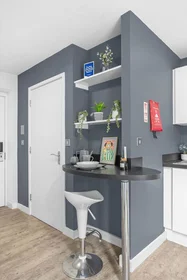 Entire apartment in residence at 20 Salisbury Rd, Cardiff CF24 4AF, United Kingdom, image 14 of 15