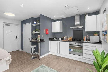 Entire apartment in residence at 20 Salisbury Rd, Cardiff CF24 4AF, United Kingdom, image 7 of 15