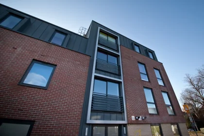 Entire apartment in residence at 20 Salisbury Rd, Cardiff CF24 4AF, United Kingdom, image 8 of 15