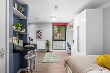 Entire apartment in residence at 20 Salisbury Rd, Cardiff CF24 4AF, United Kingdom, image 9 of 15