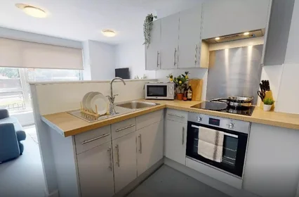 Özel oda Ikamet yerinde konumu Fiveways Hall, 26 North Rd, Wolverhampton WV1 1HR, United Kingdom              , 17 20 görüntüsü
