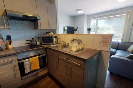 Özel oda Ikamet yerinde konumu Fiveways Hall, 26 North Rd, Wolverhampton WV1 1HR, United Kingdom              , 5 21 görüntüsü