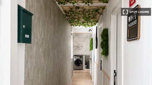 Quarto privado em Calle Cervantes, imagem 16 de 19