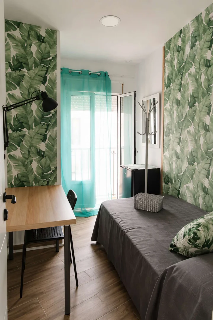 Affordable room for students with ample lighting in 