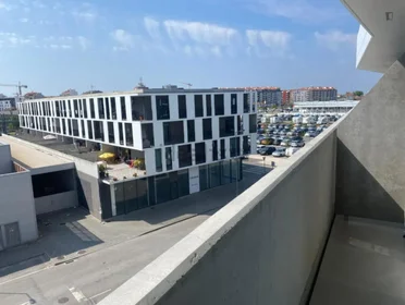 Monolocale in R. Gen. José Domingues Peres, immagine 13 di 13