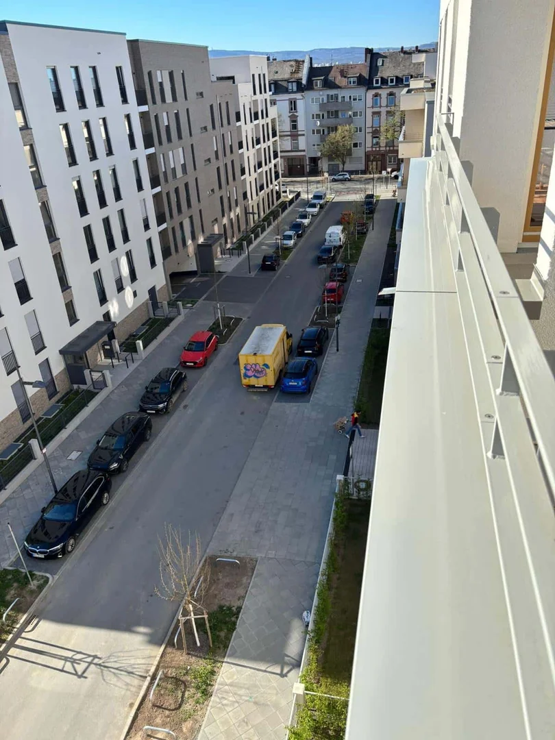 Goldina-Hirschberg-Str. 11, 60486 Frankfurt am Main, Alemania