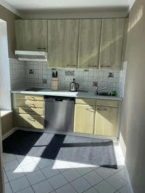 Stanza privata in Alemannenstraße, 01309 Dresden-Blasewitz, Deutschland, immagine 11 di 14