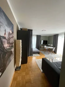 Stanza privata in Alemannenstraße, 01309 Dresden-Blasewitz, Deutschland, immagine 6 di 14