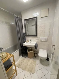 Stanza privata in Alemannenstraße, 01309 Dresden-Blasewitz, Deutschland, immagine 9 di 14