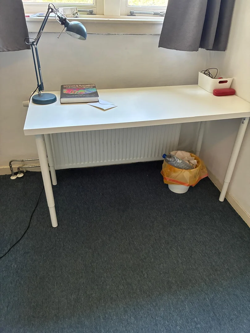 Comfortable and spacious student room in 
