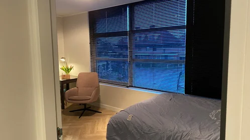 Habitación privada en Luchtenburgplein, imagen 5 de 8