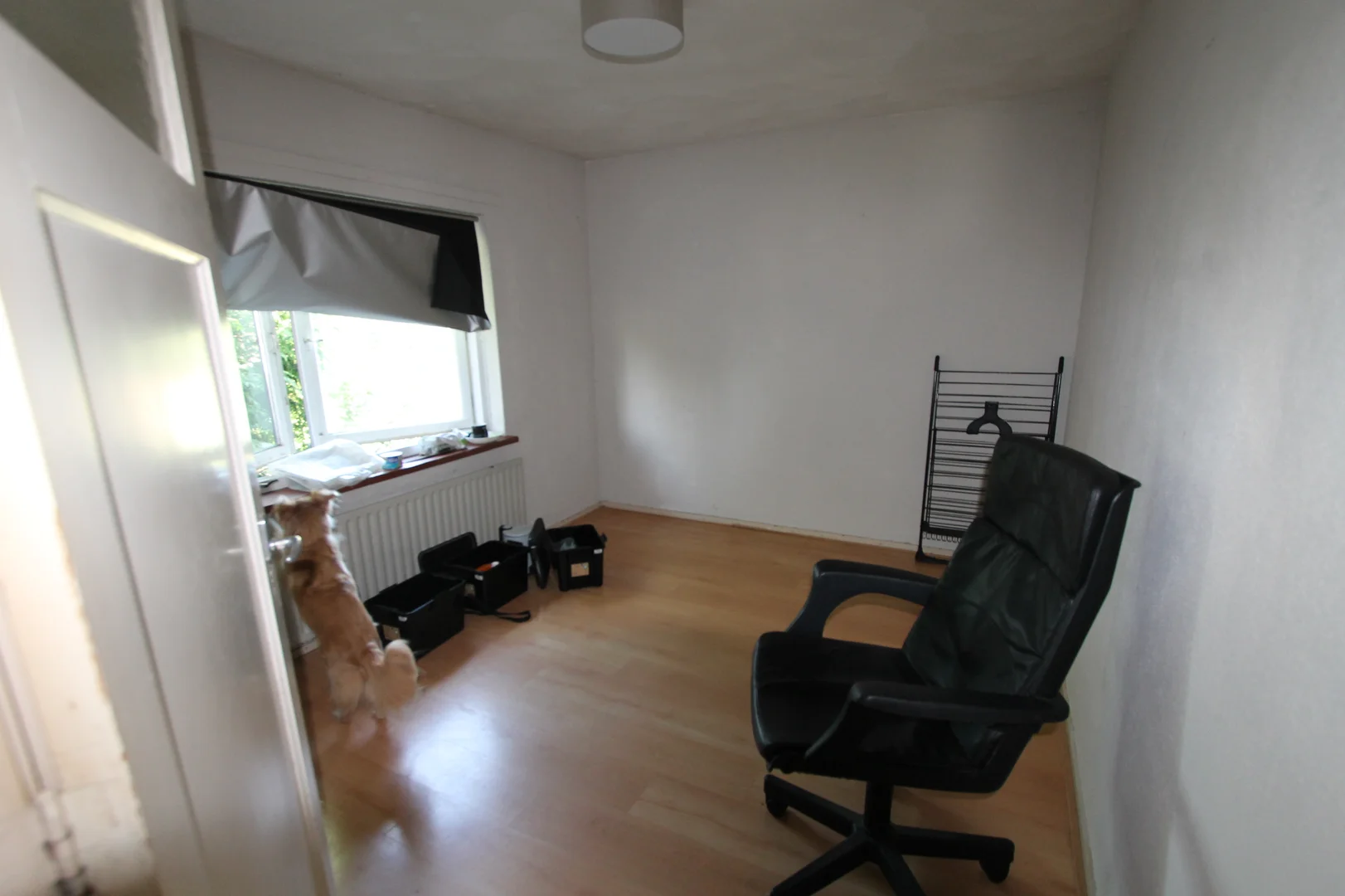 Quarto de estudante luminoso e arejado com acesso fácil à universidade em 