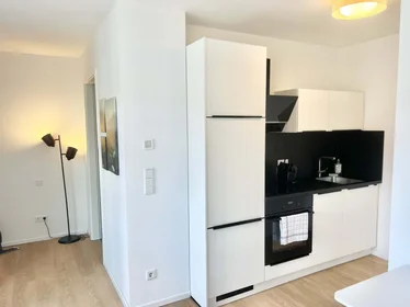 私人房间 在 Maximilianstraße 43, 90429 Nürnberg, Deutschland, 27的图像13