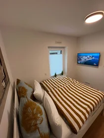 Entire apartment at Kirschgartenstraße 8, 69126 Heidelberg, Deutschland, image 3 of 12