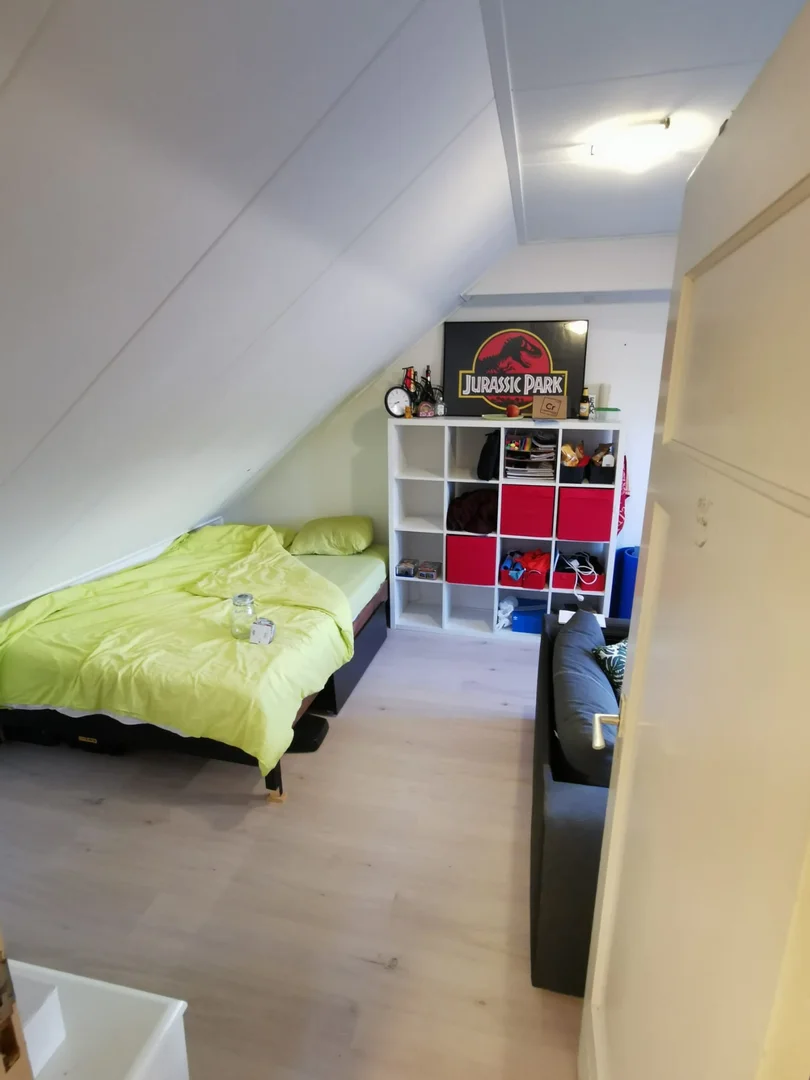 Bezahlbares Zimmer für Studenten mit ausreichender Beleuchtung in 