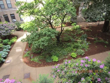 Stüdyo daire Ikamet yerinde konumu 116, Riverway, Unit 5, Fenway, Boston, MA, 02215, 18 38 görüntüsü