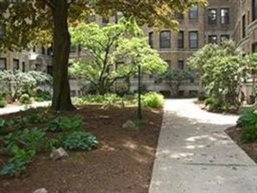 Stüdyo daire Ikamet yerinde konumu 116, Riverway, Unit 5, Fenway, Boston, MA, 02215, 23 38 görüntüsü