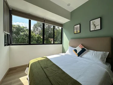 Estudio en Opal Crescent, imagen 4 de 12