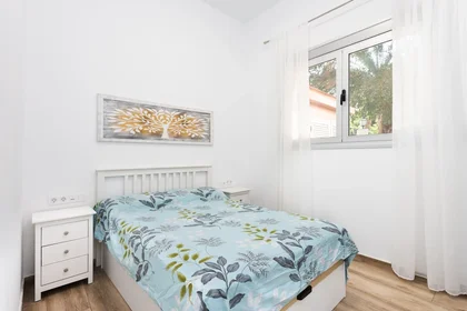 Gesamte Unterkunft in der AVENIDA ISLAS CANARIAS, 105, BLOQUE 9, BAJO IZQUIERDA, bild 13 von 19