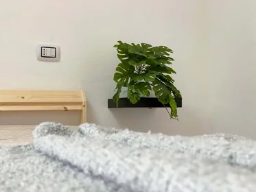 Quarto privado em Viale G. Marconi, 178, 65127 Pescara PE, Italia, imagem 6 de 32