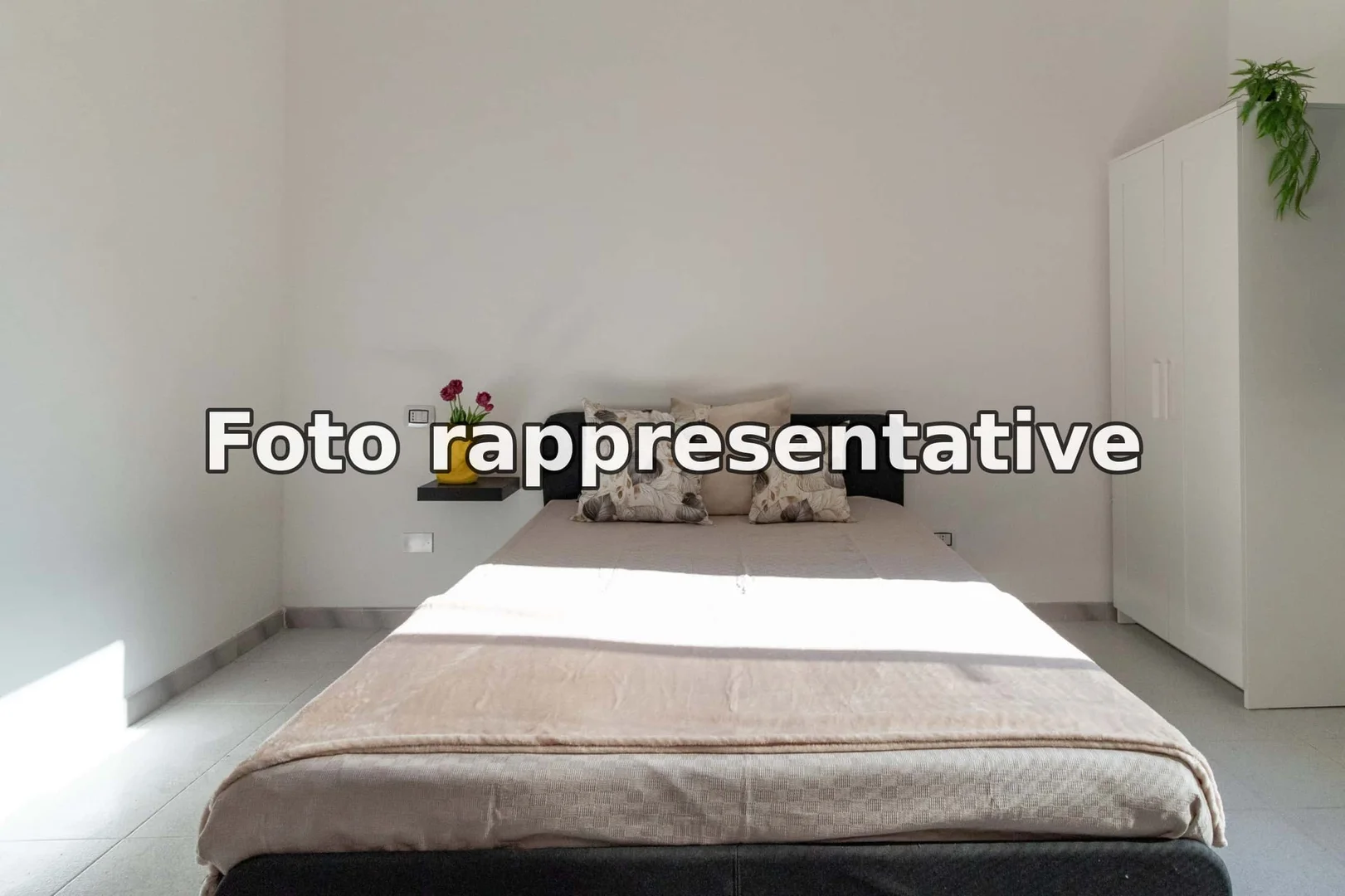 Quarto acolhedor para estudantes disponível em 