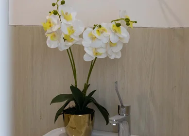 Prywatny pokój Via Cavour, 46, 86100 Campobasso CB, Italia, obraz 11 22
