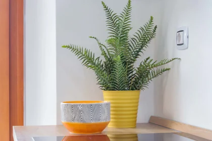 Quarto privado em Viale G. Marconi, 178, 65127 Pescara PE, Italia, imagem 7 de 32