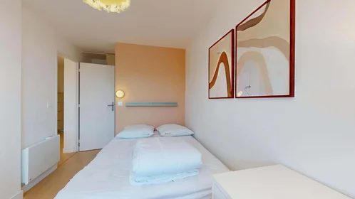 Chambre privée à 242 Rue Emile Gaboriau, 34000 Montpellier, France, image 6 de 18