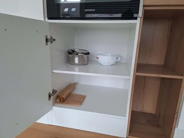 Entire apartment at Trierer Str. 99, 56072 Koblenz, Germany, image 5 of 9
