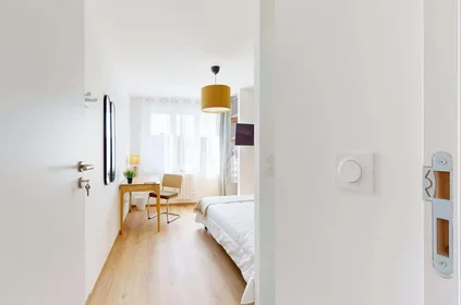 Özel oda konumu 10 Rue Montesquieu, 38100 Grenoble, France, 2 17 görüntüsü