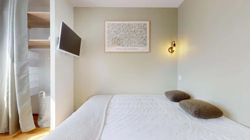 Özel oda konumu 10 Rue Montesquieu, 38100 Grenoble, France, 7 17 görüntüsü