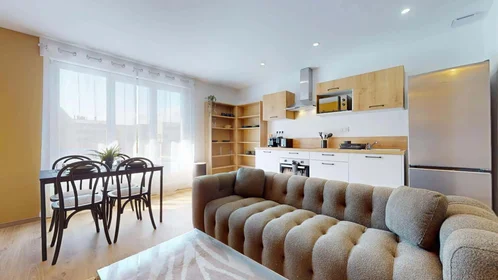 Özel oda konumu 10 Rue Montesquieu, 38100 Grenoble, France, 8 16 görüntüsü