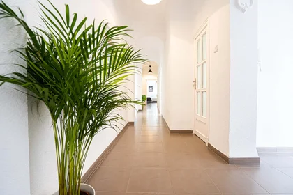 Habitación privada en Carrer d'Honorat Juan, Extramurs, València, Valencia, Spain, imagen 13 de 23