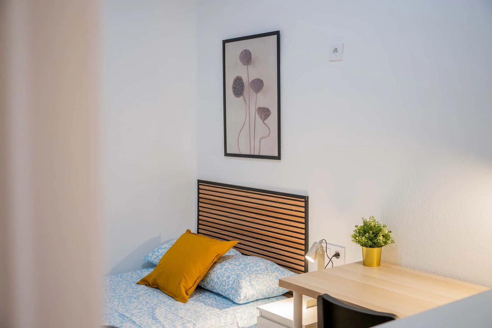 Budget-friendly student room close to campus in 