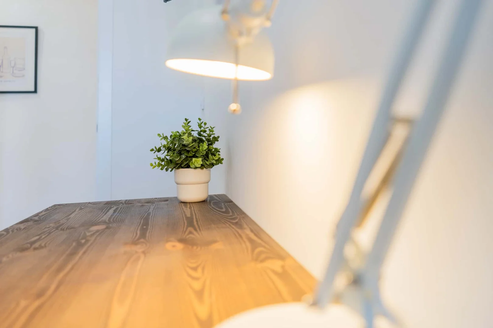 Cozy room for students available in 