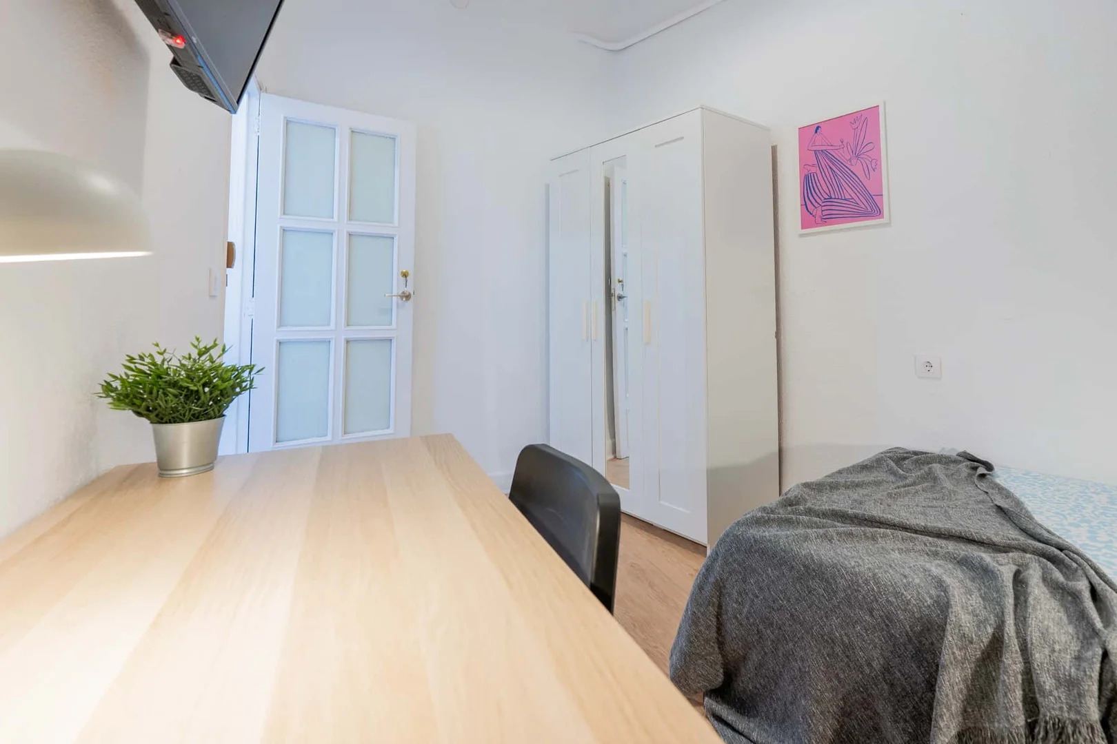 Affordable room for students with ample lighting in 
