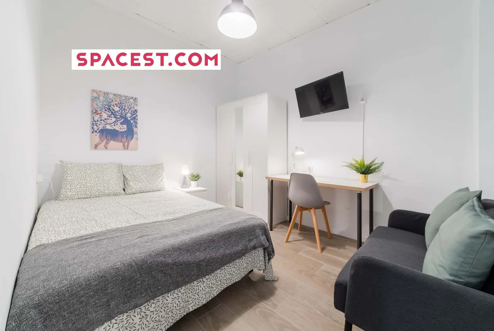 Budget-friendly student room close to campus in 